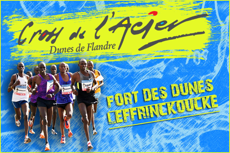 Cross de l'acier Image